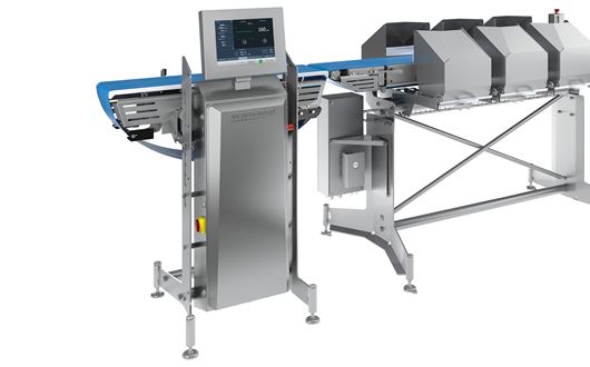 Scanvaegt SP520 Compact Sizer + is a fast, accurate and robust sizing solution