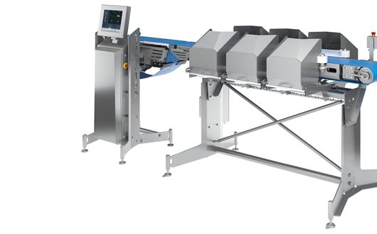 Scanvaegt’s SP520 Compact Sizer + is the ideal solution for weight-sizing jobs