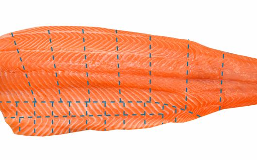 PortioJet_salmon-cutting-pattern.jpg