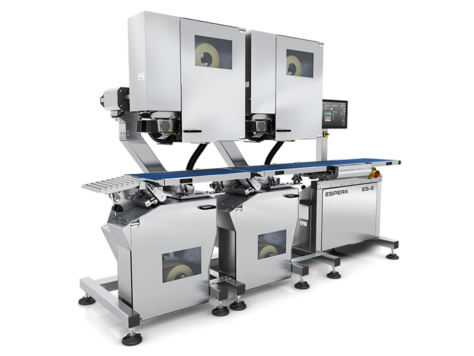 Automatic weigh-price labelling