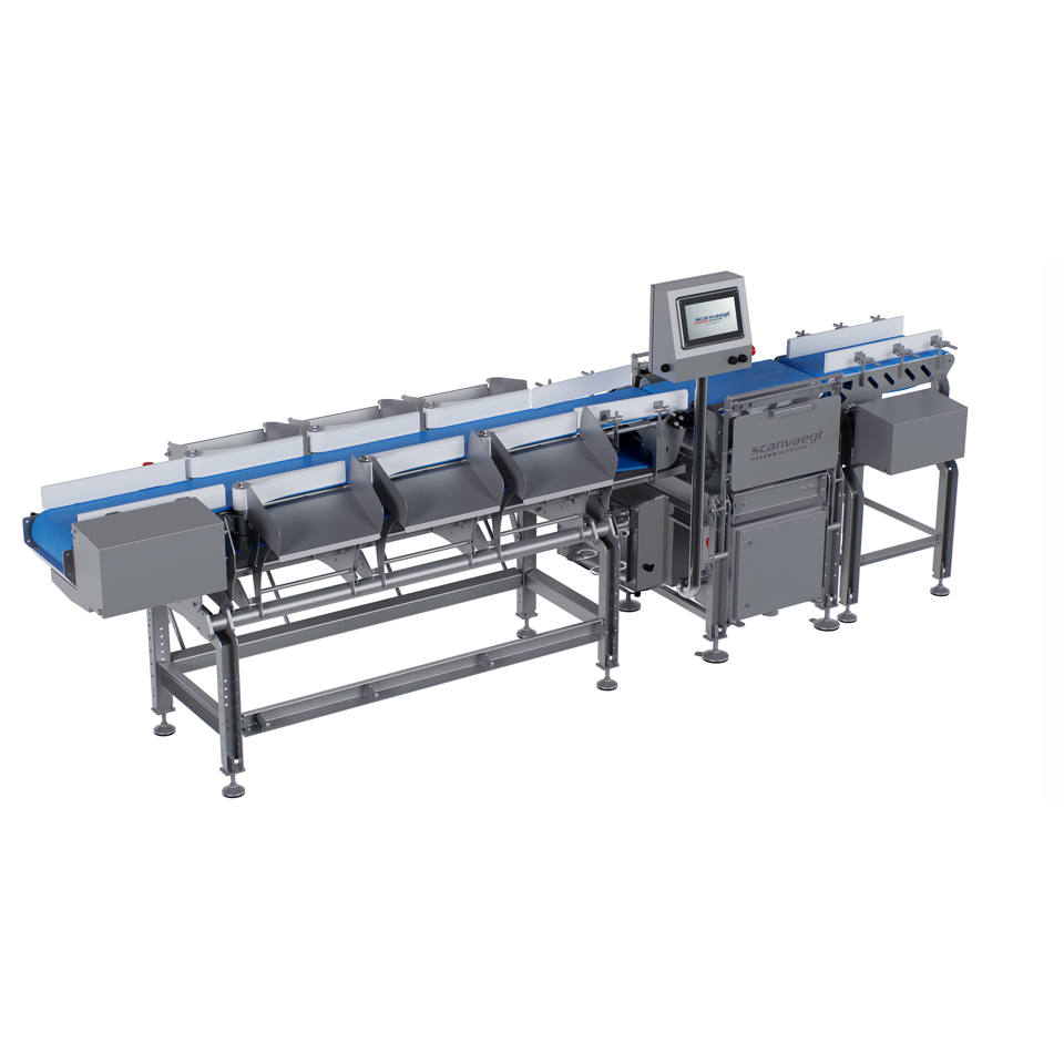 Scanvaegt XG305 Basic Grader - Flexible Sortierung und Batching