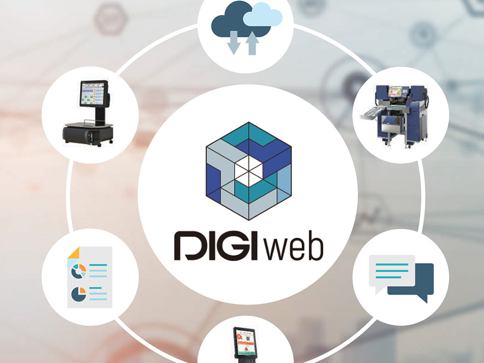 Softwaresystemer, DIGIweb Software System