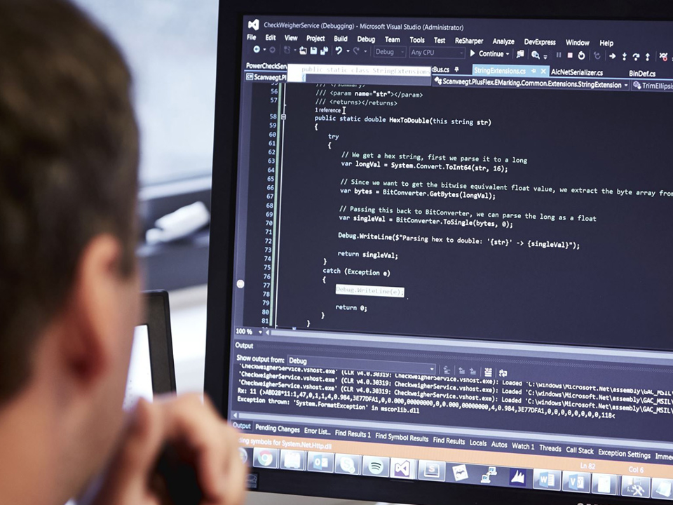 Support-ydelser, Rremote online software support