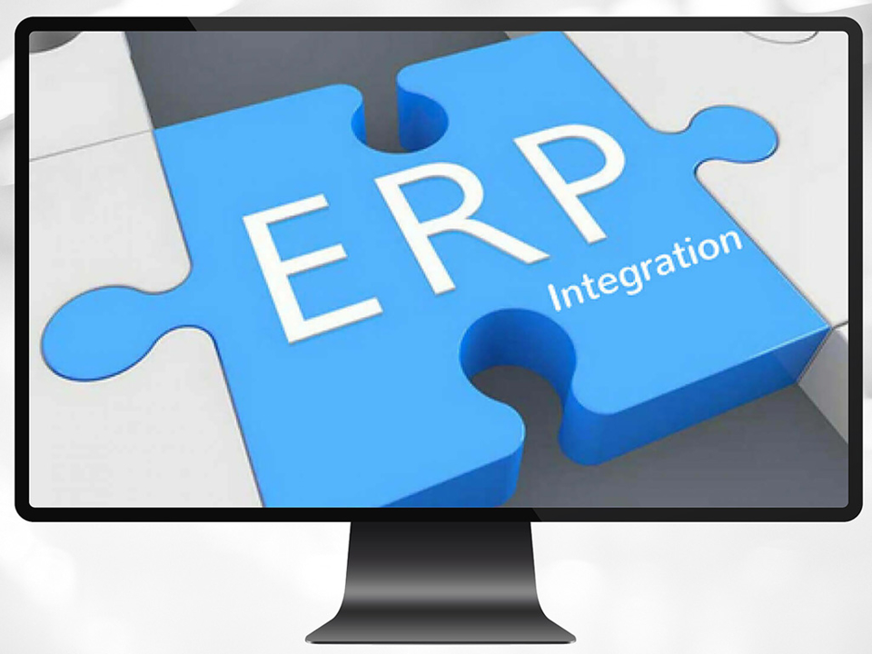 Softwaresystemer, ScanPlant-NG ERP