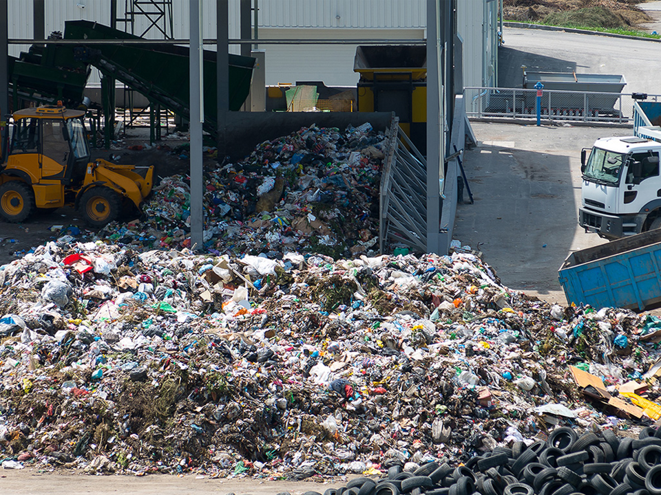 Software-system, ScanX.NET Declaration