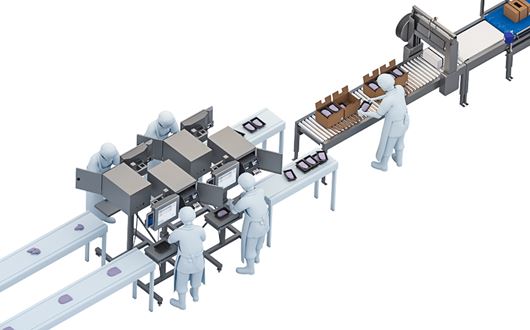 Scanvaegt's Multiple Packing Line is an extremely flexible packing system, which allows packing several different products in just one packing line.