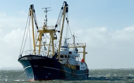 Marelec W8-D4 Marinevægt er designet specifikt til at kunne klare veje-opgaverne ombord på fiskefartøjer under både våde og barske forhold.