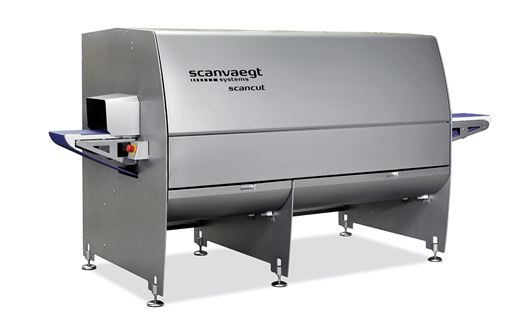 ScanCut 1 & 3 Portion Cutter can cutting at an angle gives a natural look on sliced portions or a bigger plate coverage.