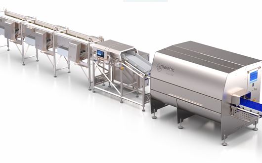 Salmon fillet cutting and sizing solutions designed for use in the fish industry