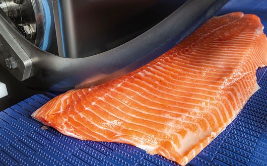 Portioning and sizing of salmon fillets with high capacity and perfect accuracy