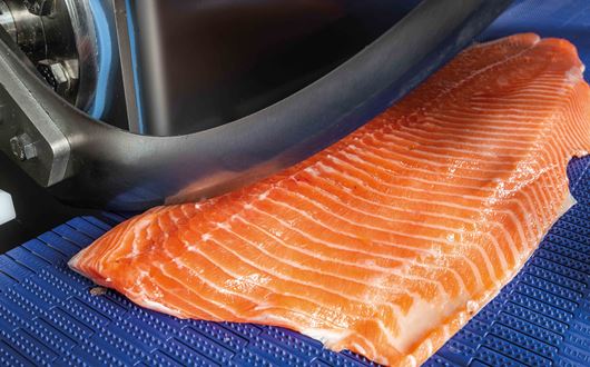 Cutting salmon filet